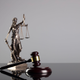 Image for article titled St. Louis Woman Faces 6 Months in Jail Over a Speeding Ticket She Already Paid and Served Time For